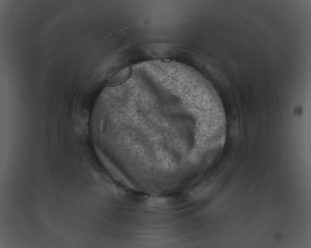 X0000093260332200710171455