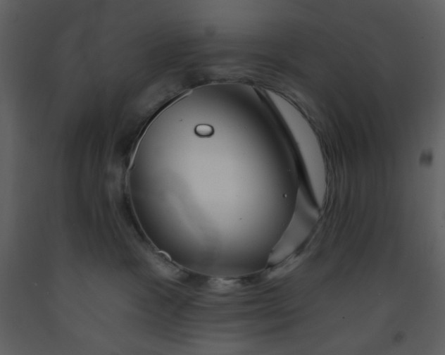 X0000093260333200710171455