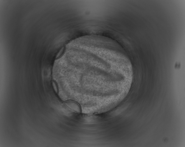 X0000093260336200710171455