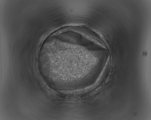 X0000093260337200710171454