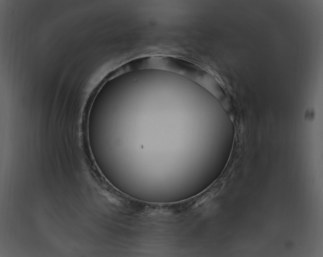 X0000093260340200710171454