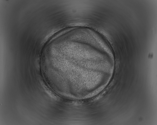 X0000093260345200710171454