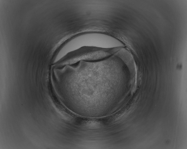 X0000093260348200710171454