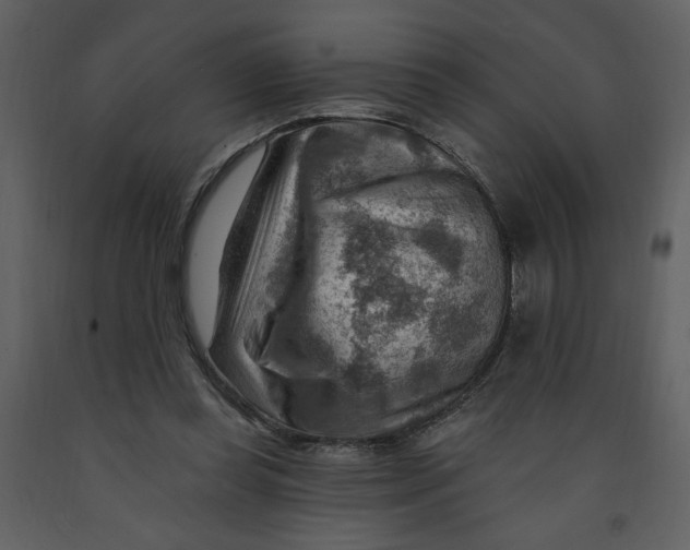 X0000093260349200710171454