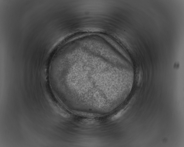 X0000093260351200710171454