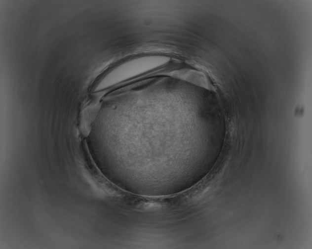 X0000093260352200710171454