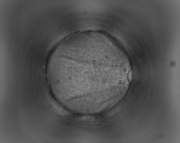 X0000093260353200710171454