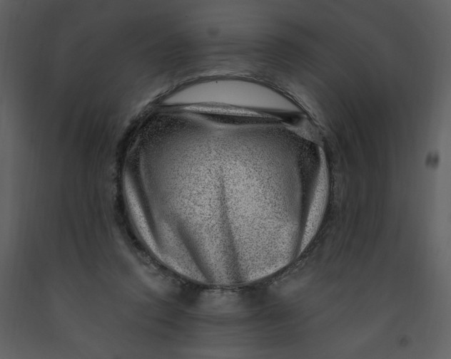 X0000093260354200710171454