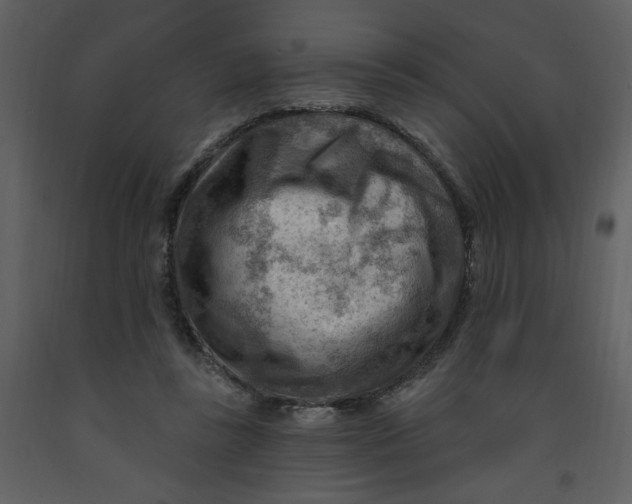 X0000093260355200710171454