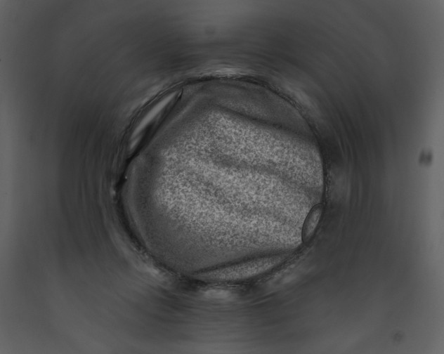 X0000093260358200710171454