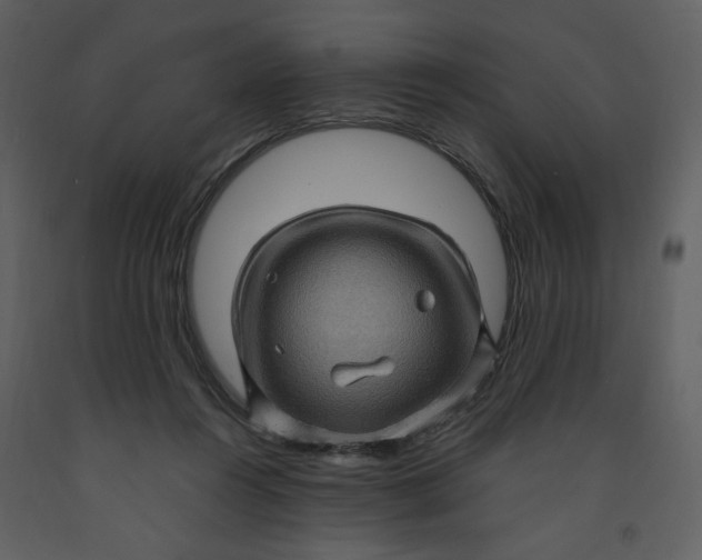 X0000093260360200710171454