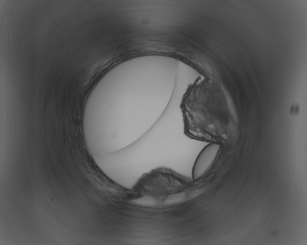 X0000093260361200710171454