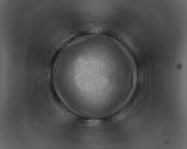 X0000093260363200710171454