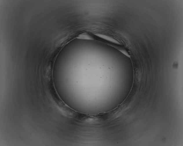 X0000093260364200710171454