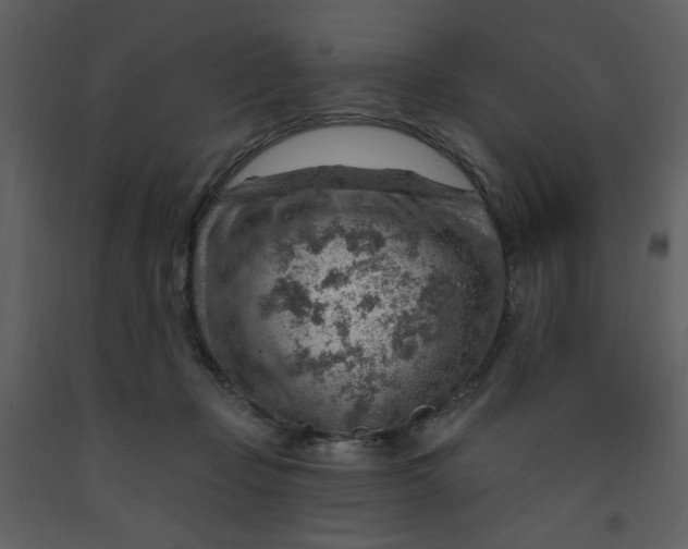 X0000093260365200710171454