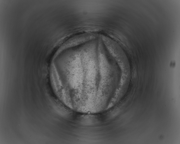 X0000093260367200710171454