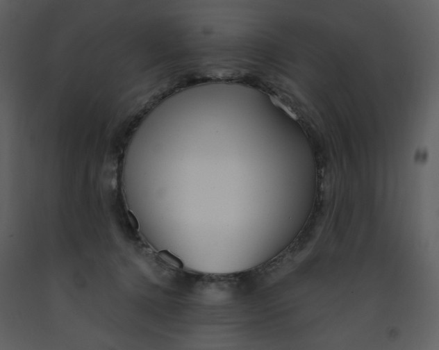 X0000093260368200710171454