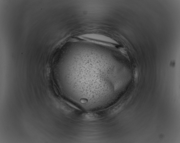 X0000093260372200710171454