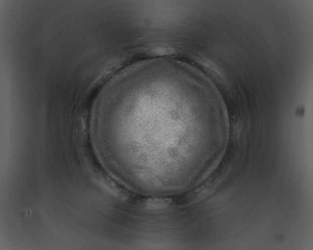 X0000093260373200710171454