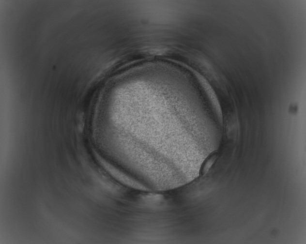 X0000093260374200710171454