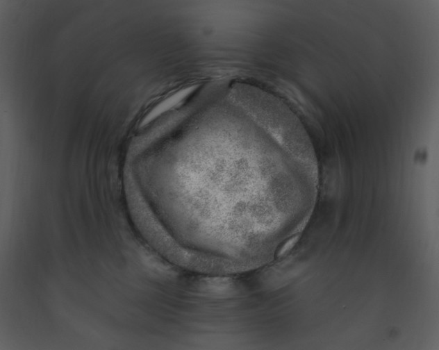 X0000093260377200710171454