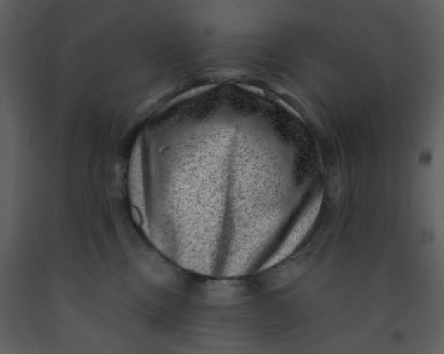 X0000093260378200710171454