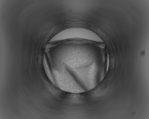 X0000093260379200710171454