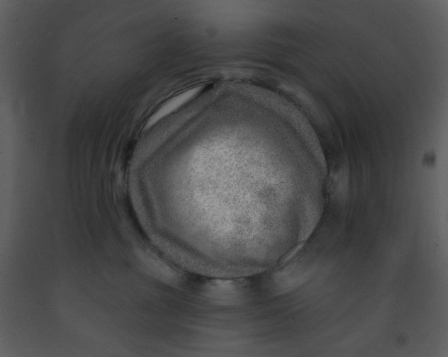 X0000093260381200710171455