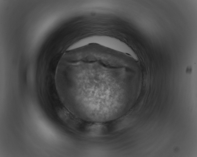 X0000093260383200710171455