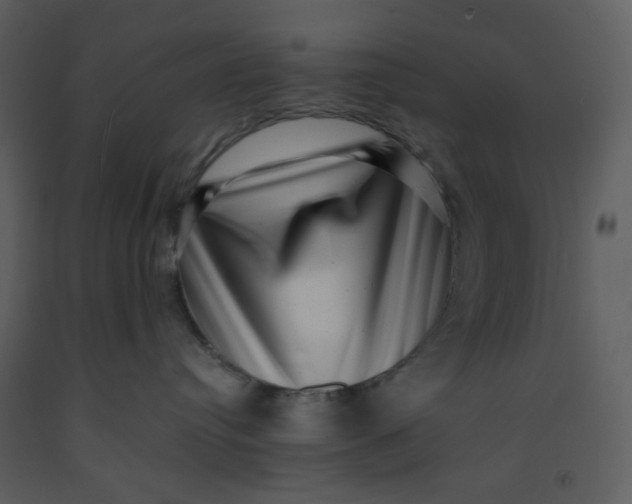 X0000093260384200710171455