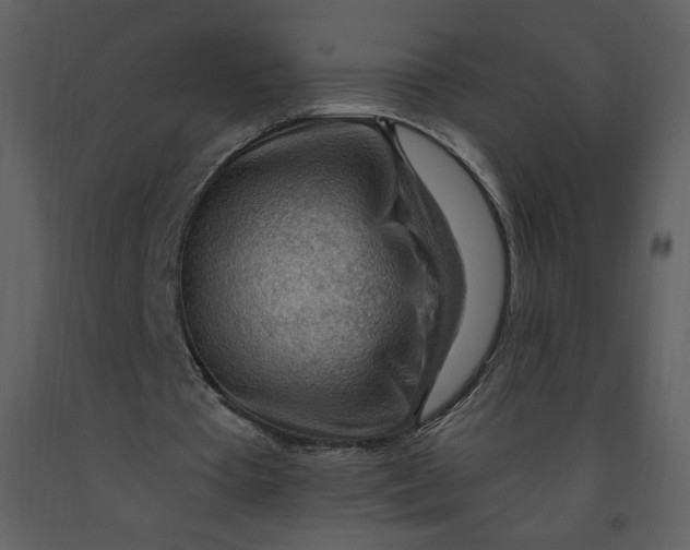 X0000093260385200710171454