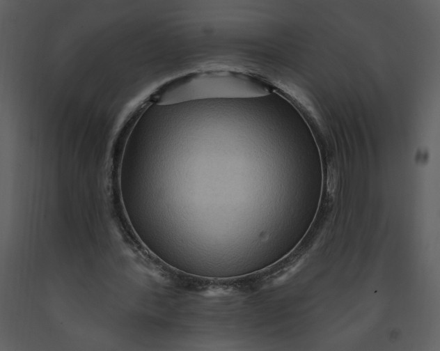 X0000093260388200710171454