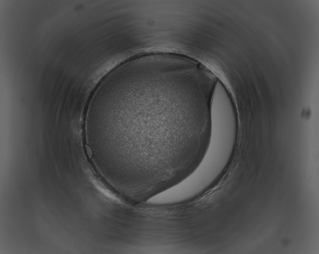 X0000093260389200710171454