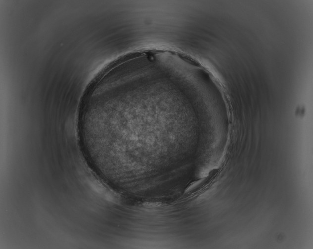 X0000093260391200710171454