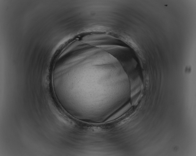 X0000093260392200710171454