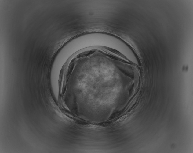 X0000093260393200710171454