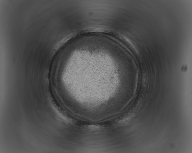 X0000093260394200710171454