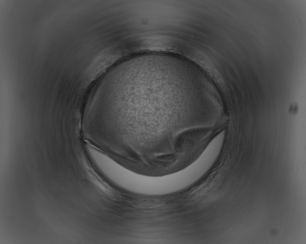 X0000093260397200710171454