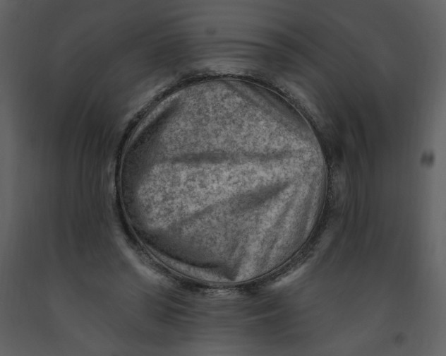 X0000093260398200710171454