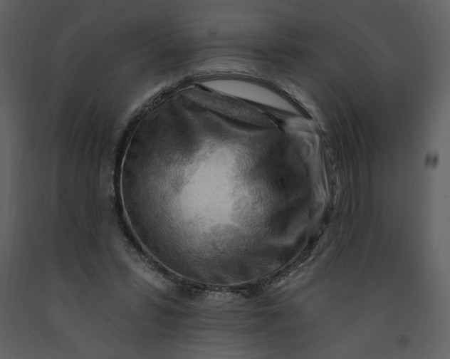 X0000093260399200710171454