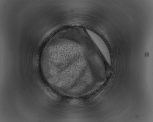 X0000093260400200710171454