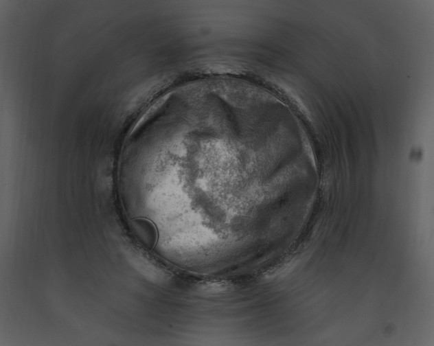 X0000093260402200710171454