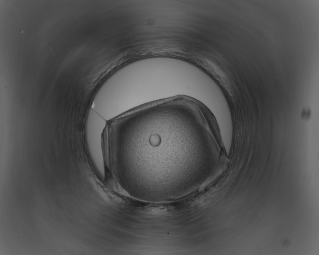 X0000093260405200710171454