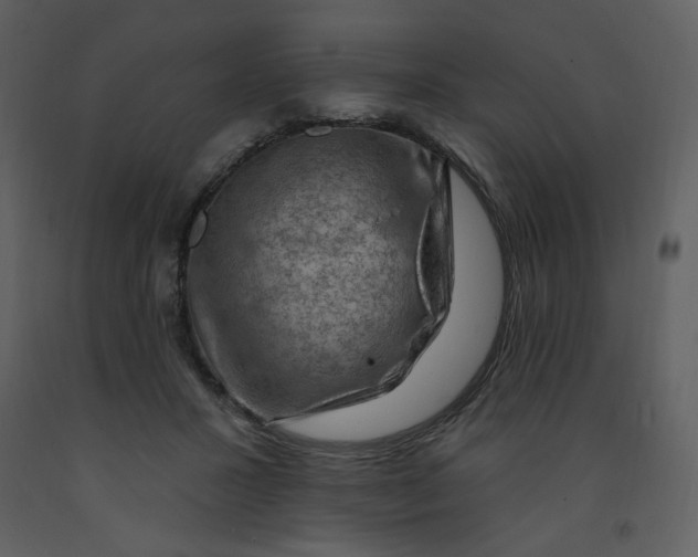 X0000093260407200710171454