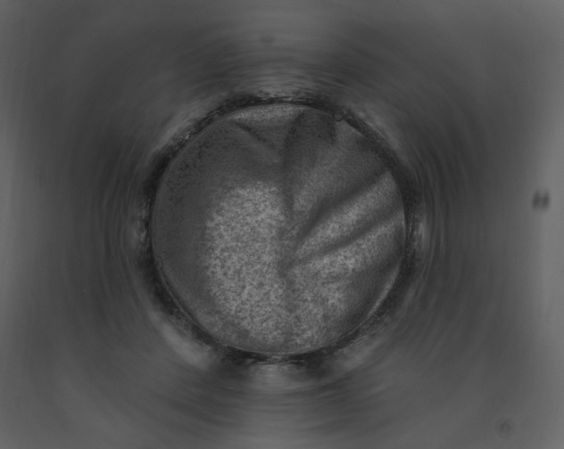 X0000093260408200710171454