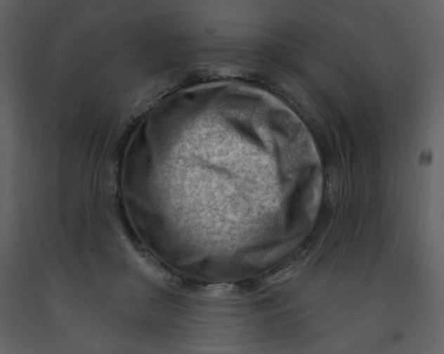 X0000093260410200710171454