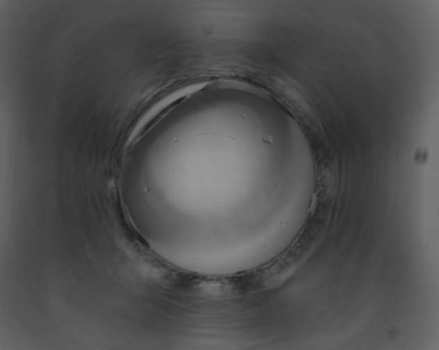 X0000093260415200710171453