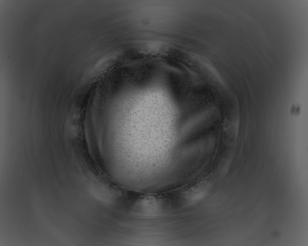 X0000093260416200710171453