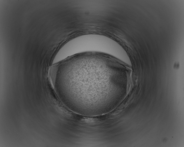 X0000093260417200710171453