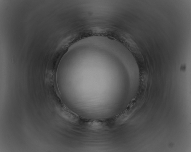 X0000093260419200710171453